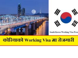 South Korea Working Visa Process