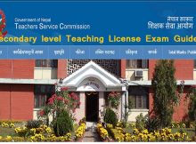 secondary level teaching license curriculum