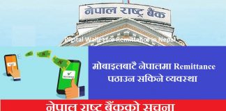 Digital Wallet for Remittance in Nepal