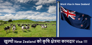 Work Visa in New Zealand