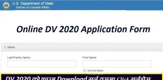 Online DV 2020 Application Form