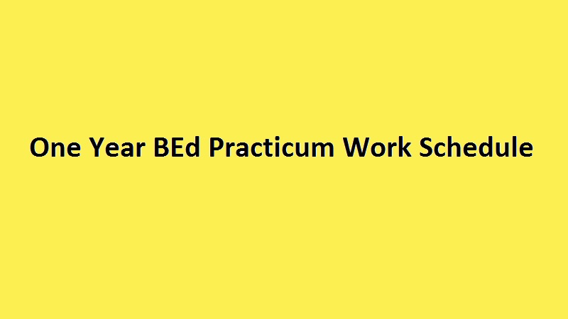 One Year BEd Practicum Work Schedule