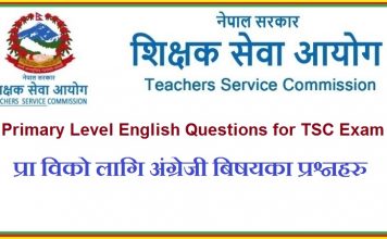 Primary Level English Questions