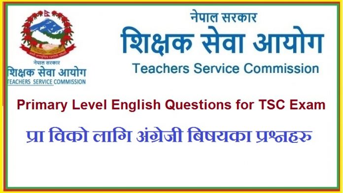 Primary Level English Questions