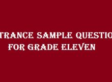 Entrance Sample Questions for Grade Eleven