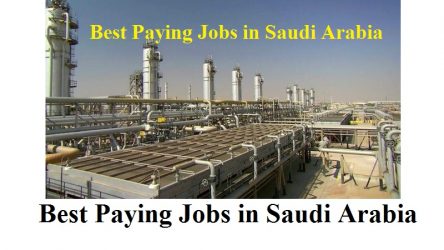 Best Paying Saudi Arabia Jobs