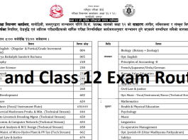 SEE and Class 12 Exam Routine
