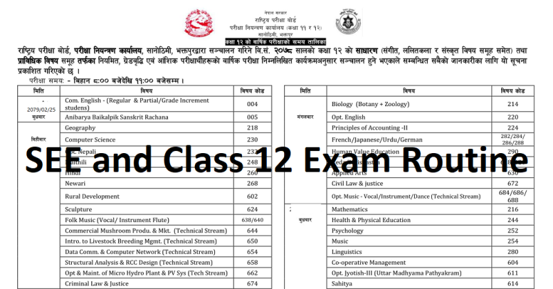 C_C4H225_12 Exam Pattern