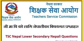 TSC Nepal Lower Secondary Nepali Questions