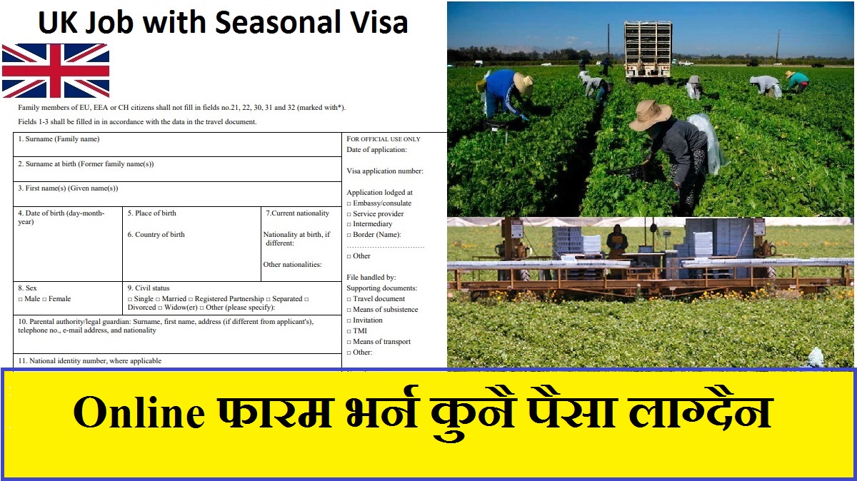 UK Job with Seasonal Visa