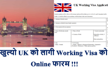 UK Working Visa Application Form