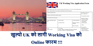 UK Working Visa Application Form