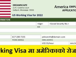 USA working visa