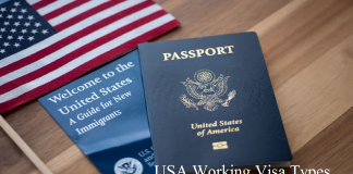 USA Working Visa Types