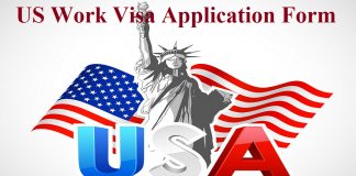US Work Visa Application Form