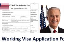 USA Working Visa Guide