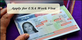 Apply for USA Work Visa