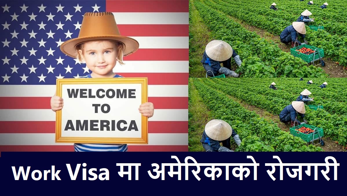 USA Job for Nepali with Sponsorship