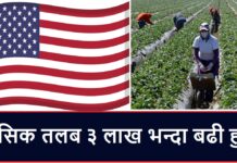 20000 Working Visa Job in USA