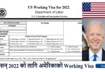 America Working Visa Job Application Form