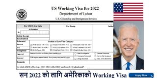America Working Visa Job Application Form