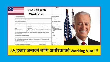 How to Apply Work Visa in USA?