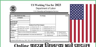 How to Apply USA Working Visa Job