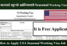 How to Apply USA Seasonal Working Visa Job