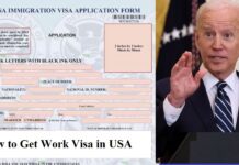 How to Get Work Visa in USA