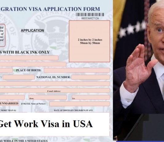 How to Get Work Visa in USA