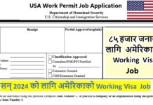 H1B Work Permit Visa for USA