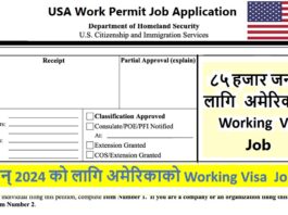 H1B Work Permit Visa for USA