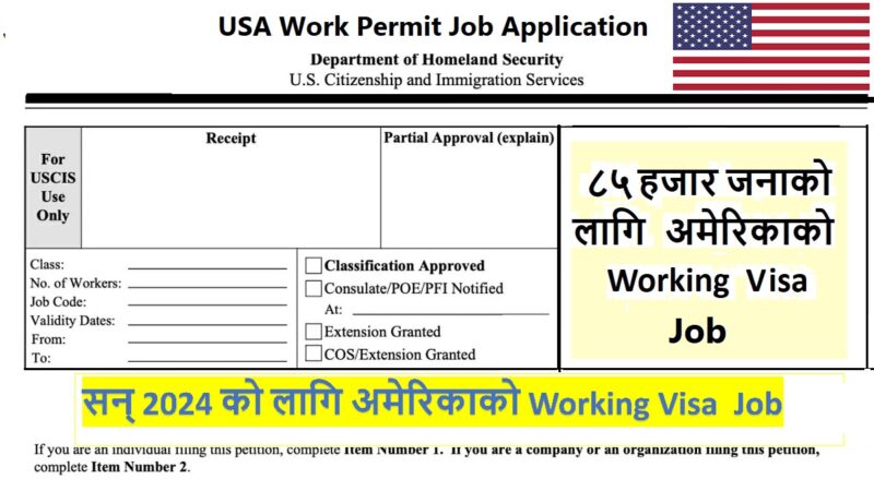 H1b Work Permit Visa For Usa