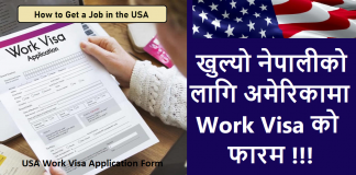 USA Work Visa Application Form