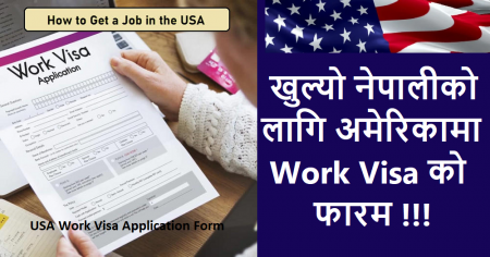 USA Work Visa Application Form