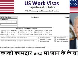 US Work Visas