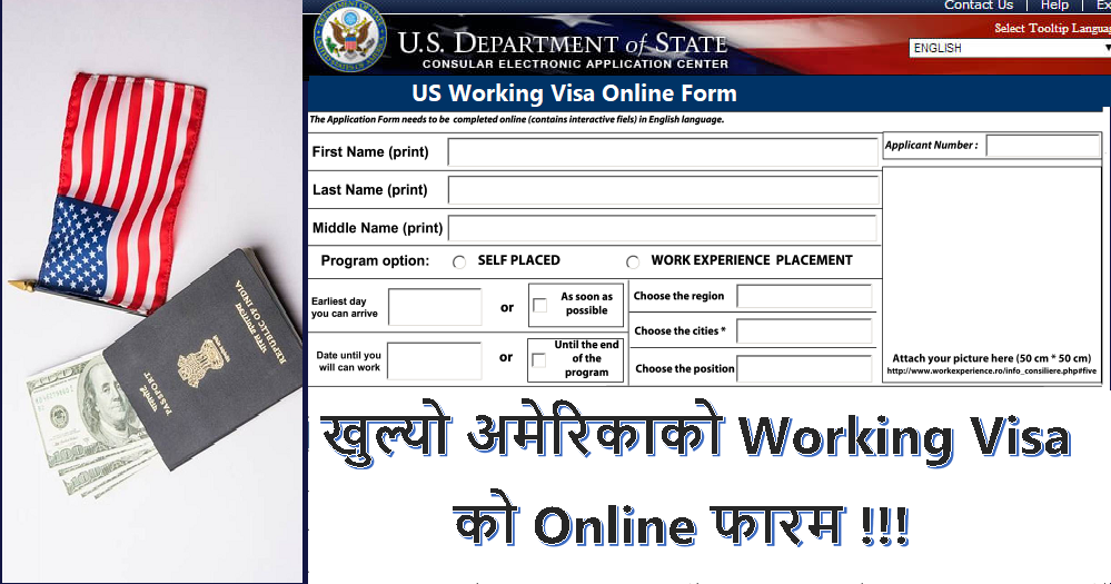 US Working Visa Online Form