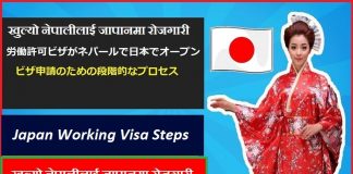 Japan Working Visa Steps