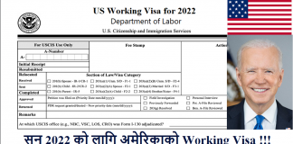 USA Working Visa for 2022